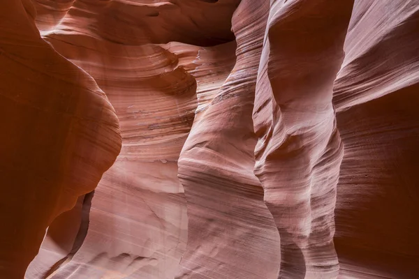 Dans Canyon Sous Lower Antelope Canyon Avec Des Murs Spectaculaires — Photo
