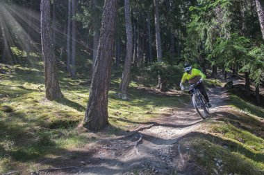 İtalya 'nın Vinschgau şehrinde Tarscher Alm Trail' de dağ bisikleti