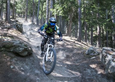Vinschgau, İtalya 'da Sunny Benny Trail' de dağ bisikleti.