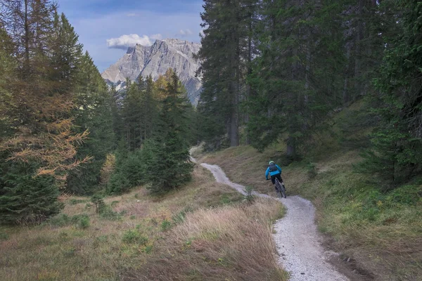 Vtt Forest Two Singletrail Dans Bikepark Lermoos Avec Zugspitze Arrière — Photo