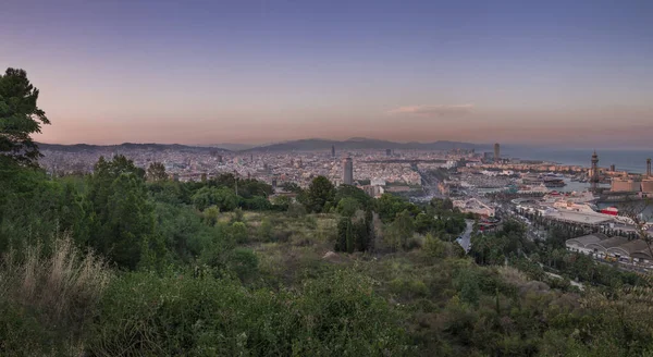 Skyline Van Barcelona Tijdens Zonsondergang Vanaf Stadspark Jardins Del Mirador — Stockfoto