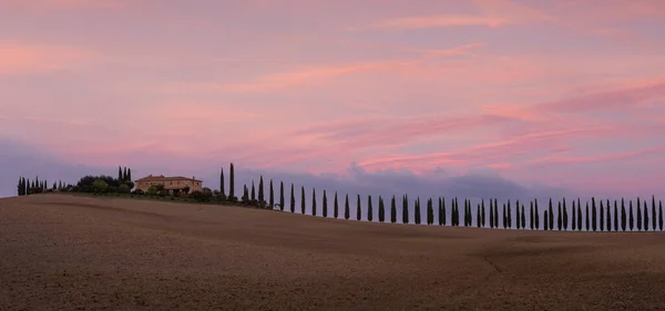 Cypress Road Farmhouse Agriturismo Poggio Covili Sunset Brown Fields Clouds — Stock Photo, Image