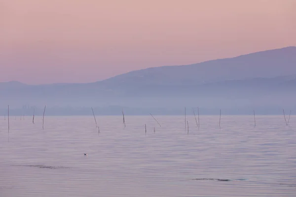 Pastel Tom Nascer Sol Com Nevoeiro Manhã Sobre Água Lago — Fotografia de Stock