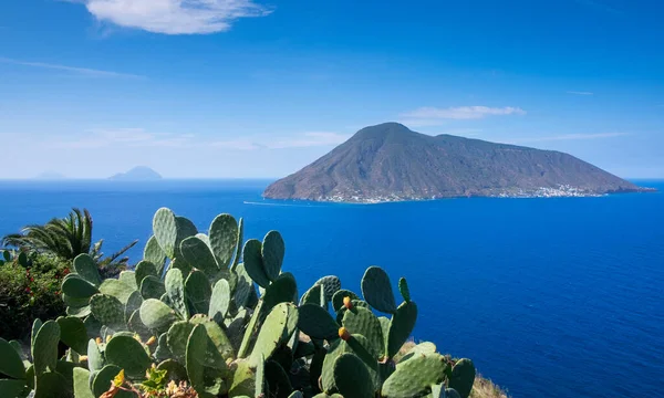 Costa Lipari Com Cacto Com Vista Para Ilha Vulcão Salina — Fotografia de Stock