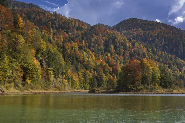 德国巴伐利亚威茨湖畔的树木 山水丛林中的秋天色彩 — 图库照片