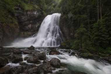 Berchtesgaden, Bavyera yakınlarındaki Schwarzbach nehri ile ormanda Gollinger şelalesi