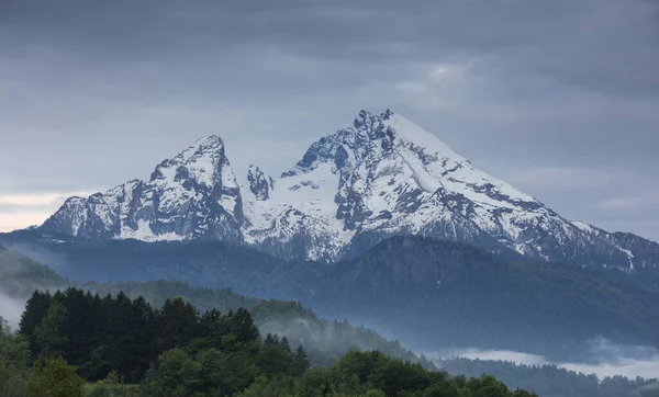 Snötäckta Bergstoppar Watzmann Vid Berchtesgaden Med Moln Och Morgondimma Grön — Stockfoto