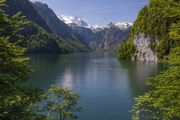 夏天从Malerwinkel的观点看Knigssee湖 水面上的旅游船 前景中的树木 背景中的山脉 巴伐利亚的Berchtesgaden — 图库照片