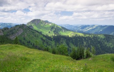 Flowers and summer meadow in the mountain of Nagelfluhkette, cliuds in the sky, Allgaeu Oberstaufen Germany