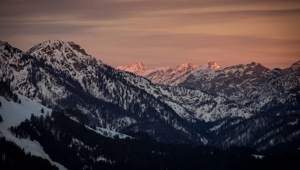 Bergkette Wilder Kaiser Fieberbrunn Bei Sonnenuntergang Winter Mit Schnee Wald — Stockfoto