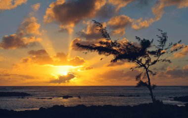 Güneşin batımında sahilde son ışınları. Mauritius Adası. Afrika
