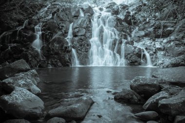 Vallee des Couleurs şelaleler. Milli Parkı Cascades. Mauritius Adası