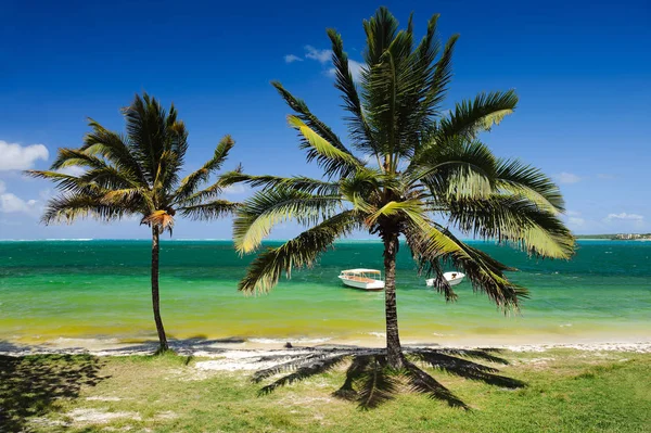 Wunderschöner Strand mit Palmen in tropischen Insel. Mauritius-Insel — Stockfoto