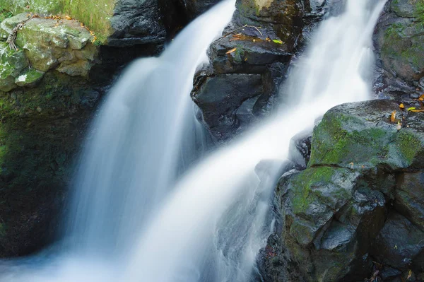 Vattenfall i Vallee des Couleurs. Nationalparken Cascades. Mauritius Island — Stockfoto