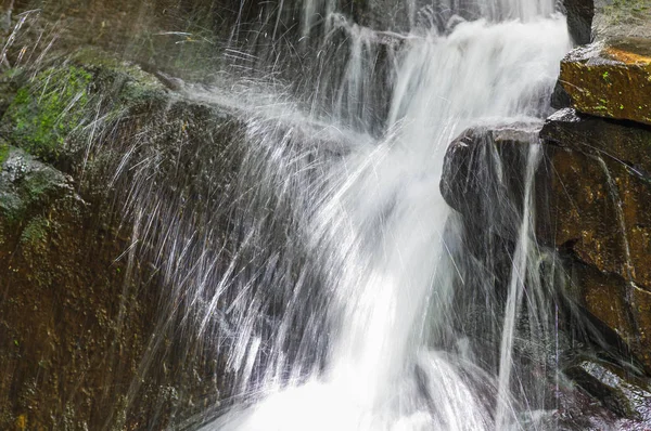 Detalj vattenfall i Vallee des Couleurs. Nationalparken Cascades. Mauritius Island — Stockfoto