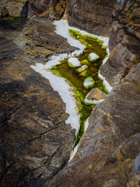 Pedras de granito pitorescas e algas verdes na costa do — Fotografia de Stock