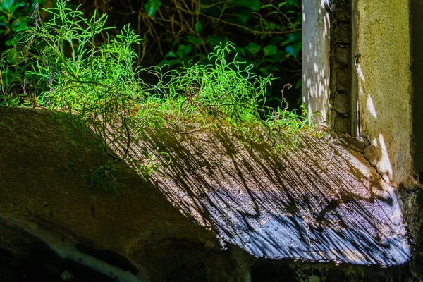 Forte abandonado na península de Crozon. Finister. Brittany. Fran... — Fotografia de Stock