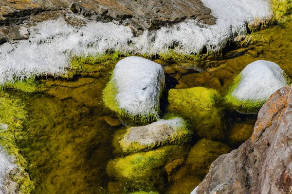 Pedras de granito pitorescas e algas verdes na costa do — Fotografia de Stock