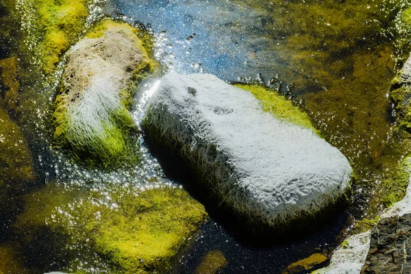 Pedras de granito pitorescas e algas verdes na costa do — Fotografia de Stock