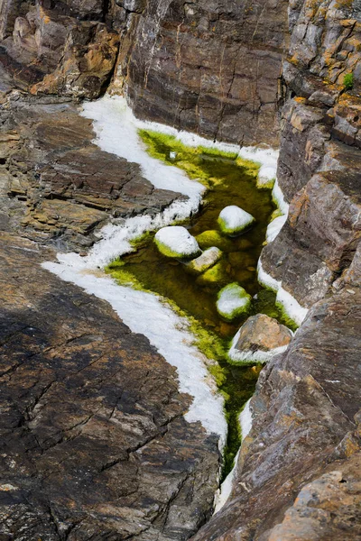 Pedras Granito Pitorescas Algas Verdes Costa Península Crozon Brittany França — Fotografia de Stock