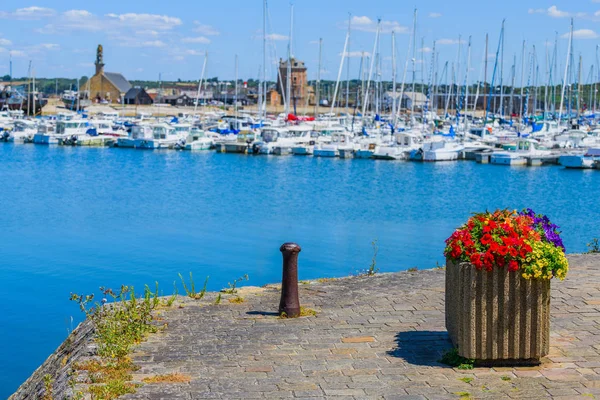 Flowers on the promenade in Camaret-sur-Mer . Finister. Brittany — Stock Photo, Image