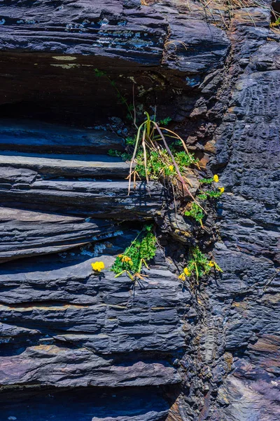 Fragmento de um velho forte abandonado na península de Crozon. Finis... — Fotografia de Stock