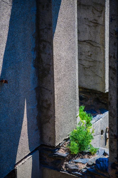 Fragment av ett övergivet gammalt fort på Crozonhalvön. Finis — Stockfoto