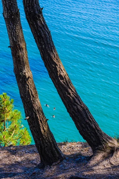 Paesaggio incredibile vicino alla spiaggia di Virgin Island. Crozon Peninsul — Foto Stock