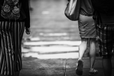 Artistic creative sketches. Photos for the interior. Brittany. F