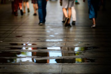 Artistic creative sketches. Photos for the interior. Brittany. F