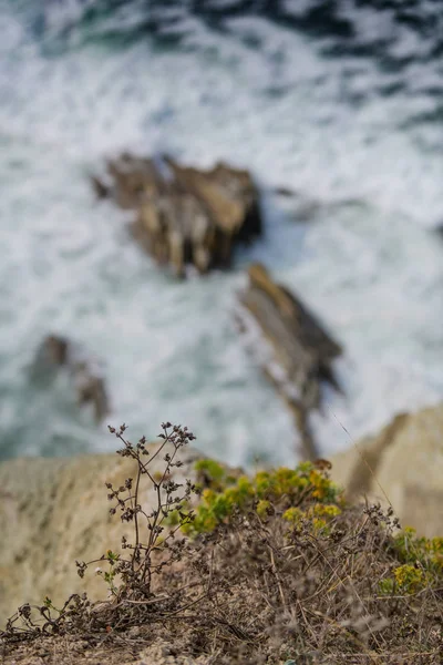 Stunning scenery of the coast of the Basque country. Northern sp — 图库照片