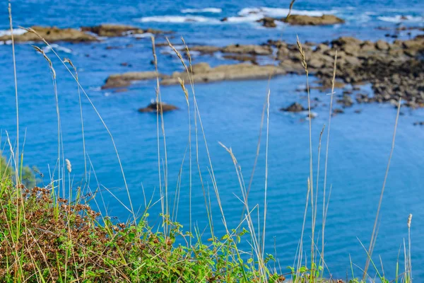 Una magnífica vista de la costa en el pueblo de Armintza. Basq. — Foto de Stock