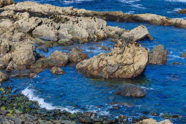 Armintza köyündeki muhteşem sahil manzarası. Bask Ülkesi. Kuzey İspanya