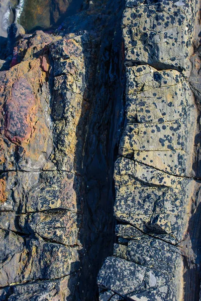 Malebný Povrch Turbiditů Severním Pobřeží Španělska Blízkosti Vesnice Armintza Baskicko — Stock fotografie