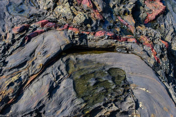 Picturesque Surface Turbidites Northern Coast Spain Village Armintza Basque Country — Stock Photo, Image