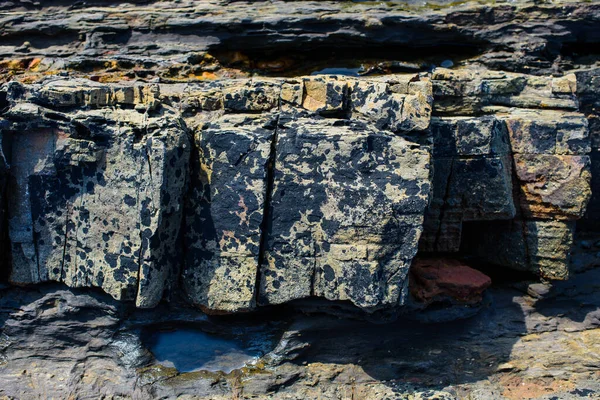 Picturesque Surface Turbidites Northern Coast Spain Village Armintza Basque Country — Stock Photo, Image