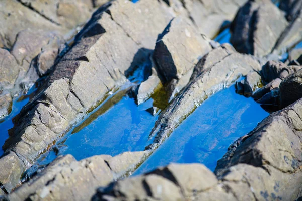 Malebný Povrch Turbiditů Severním Pobřeží Španělska Blízkosti Vesnice Armintza Baskicko — Stock fotografie