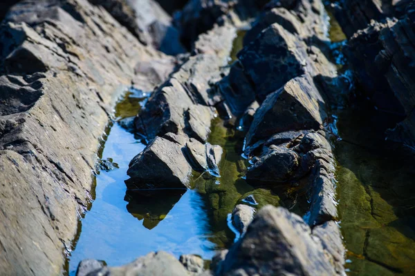 Picturesque Surface Turbidites Northern Coast Spain Village Armintza Basque Country — Stock Photo, Image