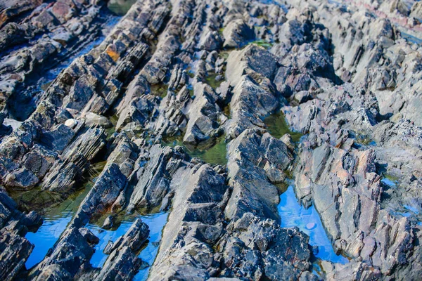 Picturesque Surface Turbidites Northern Coast Spain Village Armintza Basque Country — Stock Photo, Image