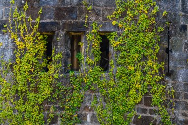 Butron Kalesi Bask Ülkesi 'ndeki en etkileyici ve güzel ortaçağ kalelerinden biridir. Kuzey İspanya