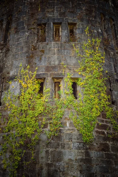 Butron Castle Een Van Meest Indrukwekkende Prachtige Middeleeuwse Kastelen Het — Stockfoto