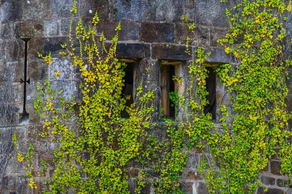 Hrad Butron Jedním Nejpůsobivějších Nejkrásnějších Středověkých Hradů Baskicku Severní Španělsko — Stock fotografie