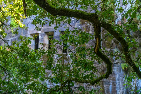 Butron Castle Een Van Meest Indrukwekkende Prachtige Middeleeuwse Kastelen Het — Stockfoto