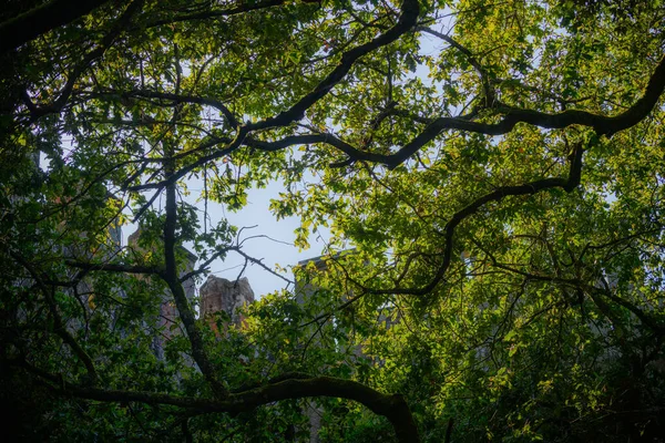 Château Butron Est Des Impressionnants Des Beaux Châteaux Médiévaux Pays — Photo