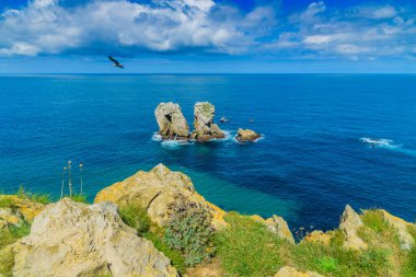 Liencres köyünün kıyısındaki inanılmaz kayalıklar. Cantabria 'da. İspanya 'nın kuzey kıyıları