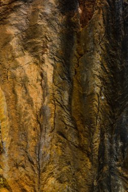 Cabarceno doğa parkında inanılmaz dokular var. Cantabria 'da. İspanya 'nın kuzey kıyıları