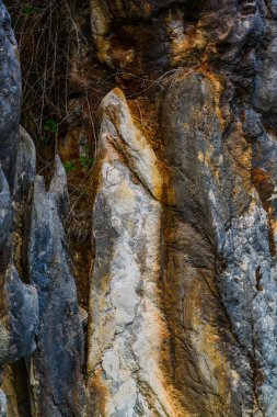 Cabarceno doğa parkında inanılmaz dokular var. Cantabria 'da. İspanya 'nın kuzey kıyıları