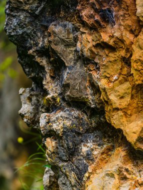 Cabarceno doğa parkında inanılmaz dokular var. Cantabria 'da. İspanya 'nın kuzey kıyıları