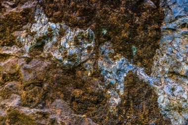 Cabarceno doğa parkında inanılmaz dokular var. Cantabria 'da. İspanya 'nın kuzey kıyıları