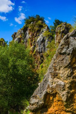 Cabarceno doğa parkında çarpıcı bir manzara. Cantabria 'da. İspanya 'nın kuzey kıyıları